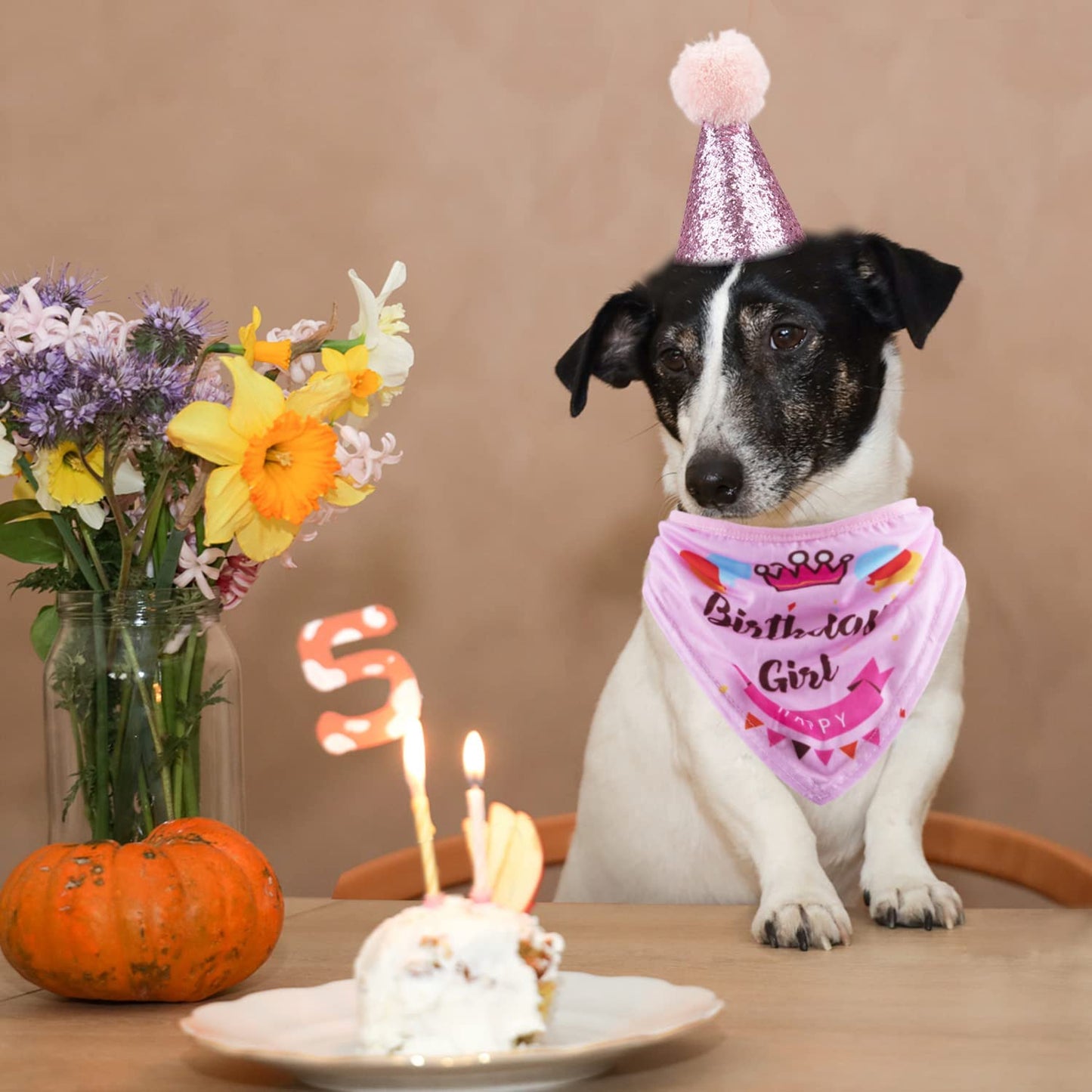 Dog Birthday Party Supplies Bandana Hat Banner Set Boy Girl Cute Bow Tie Scarf Dog Birthday Decorations (Pink,Dog Girl)